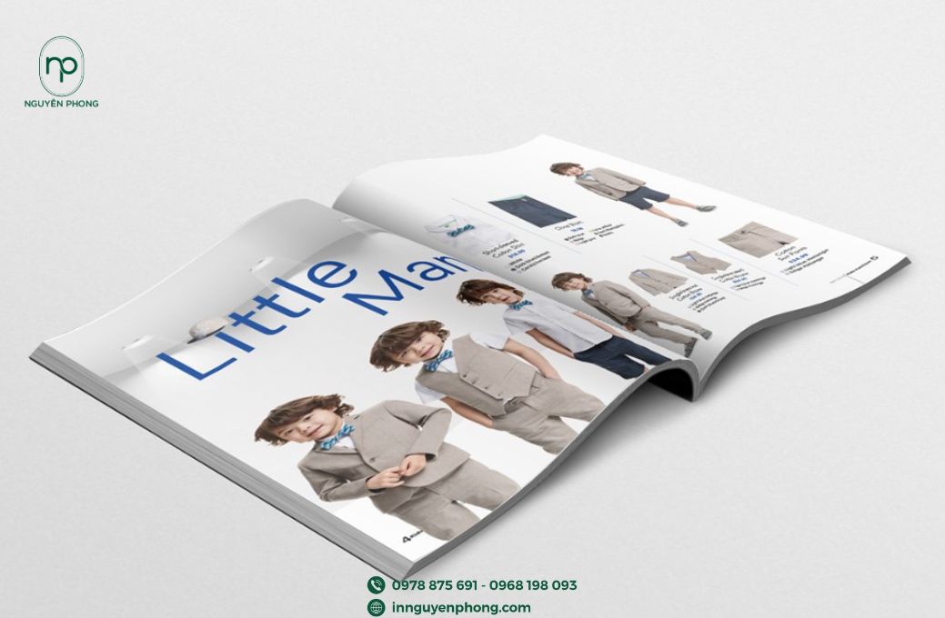 Mẫu catalogue in màu đẹp